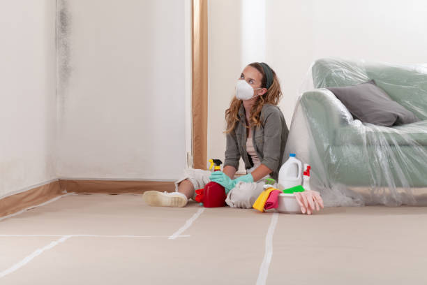 Reliable Black Mold Removal contractor in Medford, NY by WQB Mold Removal